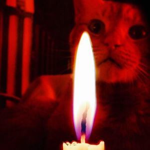 Meet your Posher, Kenny